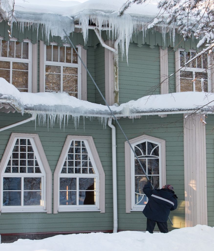 Ice Mold on roofs